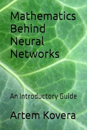 mathematics behind neural networks an introductory guide 1st edition artem kovera 979-8871975831