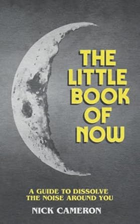 the little book of now a guide to dissolve the noise around you 1st edition mr nick cameron 1800496575,