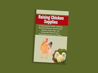 raising chicken supplies a comprehensive guide to raising backyard chickens with essential supplies expert