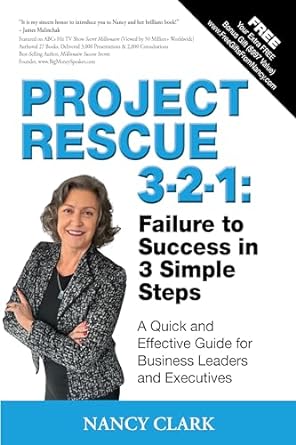 project rescue 3 2 1 failure to success in 3 simple steps a quick and effective guide for business leaders