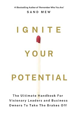 ignite your potential the ultimate handbook for visionary leaders and business owners to take the brakes off