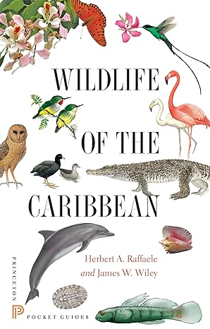 wildlife of the caribbean 1st edition herbert a. raffaele ,james wiley 0691153825, 978-0691153827