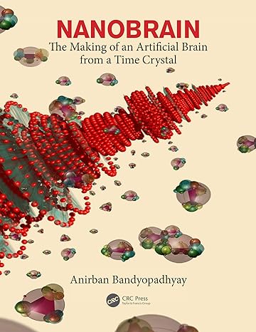 nanobrain the making of an artificial brain from a time crystal 1st edition anirban bandyopadhyay 1439875499,