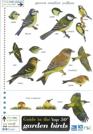 guide to the top 50 garden birds 1st edition edward jackson ,peter hayman ,andy simms 1851538623,