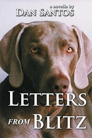 letters from blitz 1st edition dan santos 098967827x, 978-0989678278