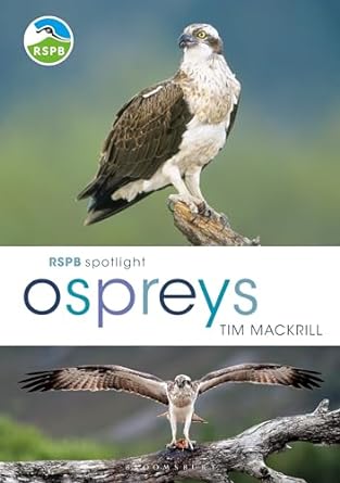 rspb spotlight osprey 1st edition tim mackrill 1472956036, 978-1472956033