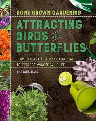 attracting birds and butterflies 1st edition barbara ellis 0358106427, 978-0358106425