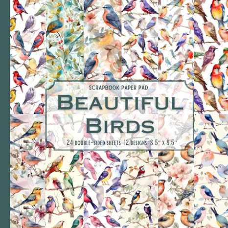 beautiful birds scrapbook paper pad 24 double sided sheets 12 designs 8 5 x 8 5 1st edition kara law