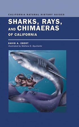 sharks rays and chimaeras of california 1st edition david ebert ,mathew d squillante 0520234847,