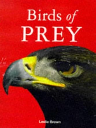 birds of prey 1st edition leslie brown ,profusely illustrated 185152732x, 978-1851527328