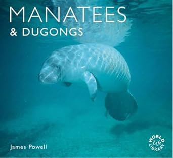 manatees and dugongs 1st edition james powell 1841071269, 978-1841071268