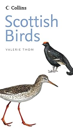 scottish birds 1st edition valerie thom 0007197373, 978-0007197378