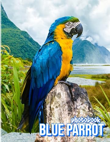 blue parrot photobook colorful birds photo album with 40 high quality for all ages to protect animal decor