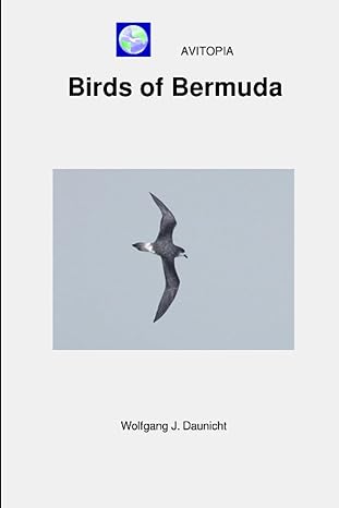 avitopia birds of bermuda 1st edition wolfgang daunicht b0cczxq7gz, 979-8854198998