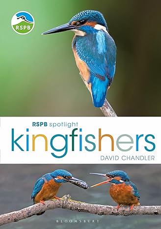 rspb spotlight kingfishers 1st edition david chandler 1472987616, 978-1472987617