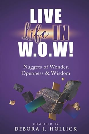 live life in w o w nuggets of wonder openness and wisdom 1st edition debora j hollick 173878990x,