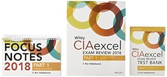 wiley ciaexcel exam review 2018 + test bank + focus notes part 1 internal audit basics set 1st edition wiley