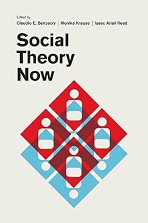 social theory now 1st edition claudio e. benzecry ,monika krause ,isaac ariail reed 022647528x, 978-0226475288