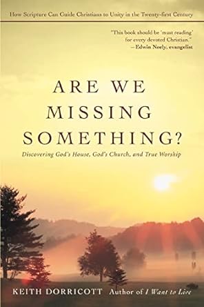 are we missing something discovering god s house god s church and true worship 1st edition keith dorricott
