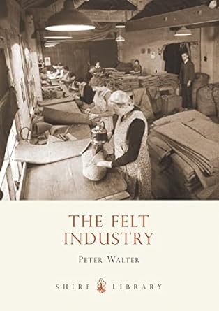 the felt industry 1st edition peter walter 0747807531, 978-0747807537