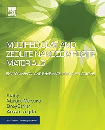 modified clay and zeolite nanocomposite materials environmental and pharmaceutical applications 1st edition