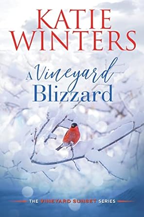 a vineyard blizzard  katie winters b09tzbpy2g, 979-8201169619