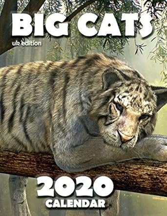 big cats 2020 calendar 1st edition wall publishing uk 1642526703, 978-1642526707