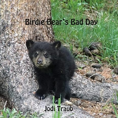 birdie bears bad day 1st edition jodi traub 1098310519, 978-1098310516