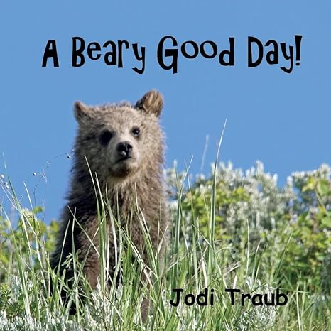 a beary good day 1st edition jodi traub 1098369858, 978-1098369859