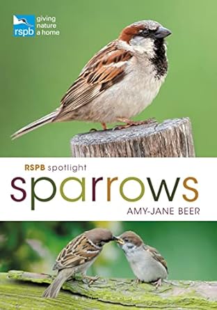 rspb spotlight sparrows 1st edition amy jane beer 1472955935, 978-1472955937