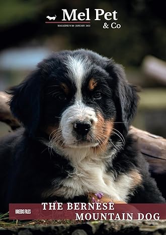 mel pet and co dog magazine #30 the bernese mountain dog 1st edition mel pet co magazine b0cs3ts5cz,