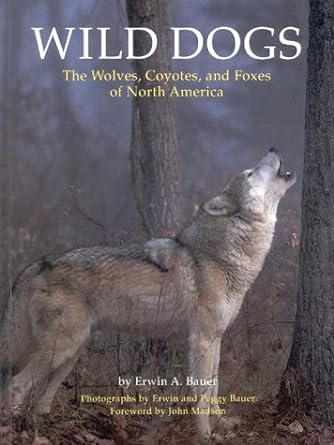 wild dogs the wolves coyotes and foxes of north america 1st edition erwin a bauer 0811804054, 978-0811804059