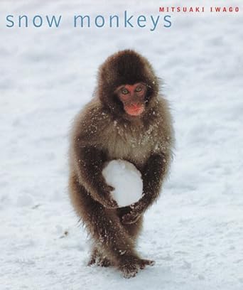 snow monkeys 1st edition mitsuaki iwago ,hideko iwago 0811822184, 978-0811822183