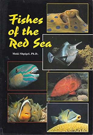 fishes of the red sea 1st edition muki shpigel 9652228001, 978-9652228000