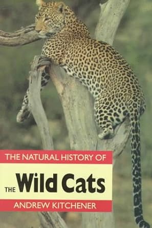 the natural history of the wild cats 1st edition andrew kitchener 0801484987, 978-0801484988