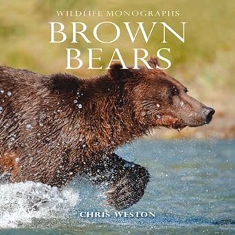 brown bears 1st edition chris weston 1901268500, 978-1901268508