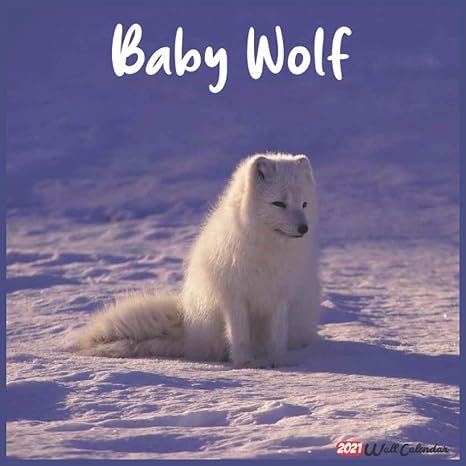 baby wolf 2021 wall calendar official baby wolf calendar 2021 18 months 1st edition official wall calendars