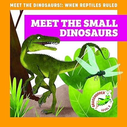 meet the small dinosaurs 1st edition rebecca donnelly ,alan brown 1636906184, 978-1636906188