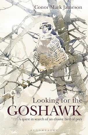 looking for the goshawk 1st edition conor mark jameson 1472969170, 978-1472969170