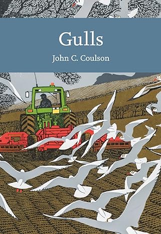 gulls 1st edition professor john c coulson 0008201439, 978-0008201432