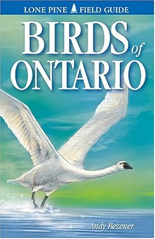 birds of ontario 1st edition andy bezener ,gary ross ,ted nordhagen 1551052369, 978-1551052366