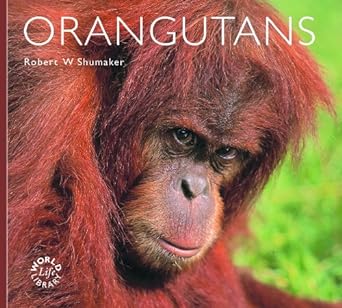 orangutans 2nd edition robert shumaker 1841073695, 978-1841073699