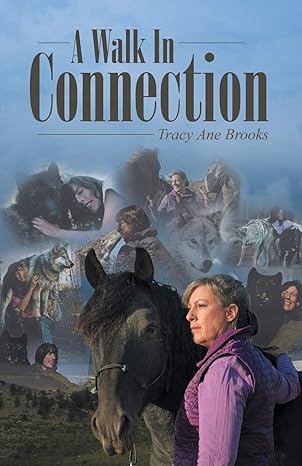 a walk in connection 1st edition tracy ane brooks 1452598320, 978-1452598321