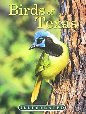 the illustrated birds of texas original edition tim ohr ,mark lockwood 0984518924, 978-0984518920