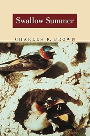 swallow summer 1st edition charles r brown 0803261454, 978-0803261457