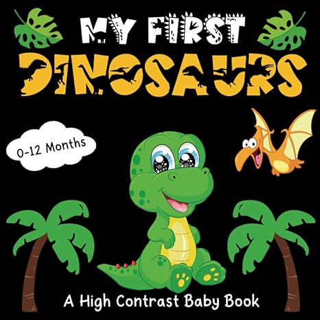 my first dinosaurs high contrast baby book 0 12 months simple black and white dinosaurs themed images to