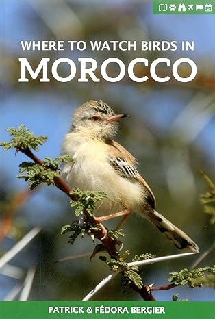 where to watch birds in morocco 1st edition patrick bergier ,fedora bergier 1784271446, 978-1784271442