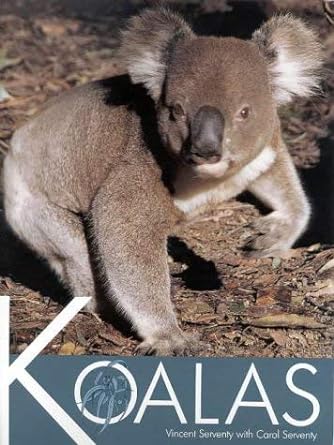 koalas 1st edition carol serventy vincent serventy 1876334762, 978-1876334765