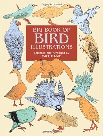 big book of bird illustrations 1st edition maggie kate 0486412253, 978-0486412252