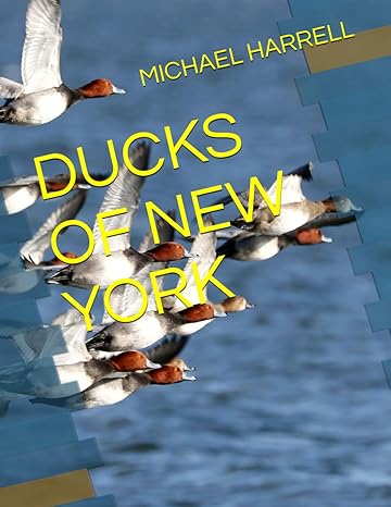 ducks of new york 1st edition michael harrell b0ck3pwjdz, 979-8862882674
